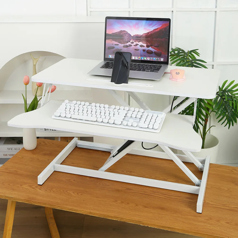 LISM Height Adjustable Desk Converter Sit Stand Dual Monitor Workspace
