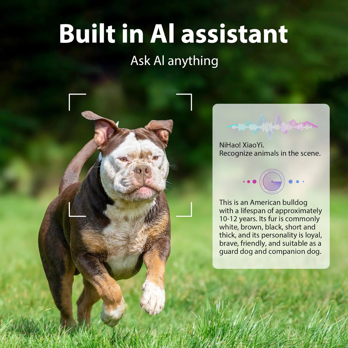 Intelligent AI Video Glasses With Dual Cameras And Replaceable Lenses