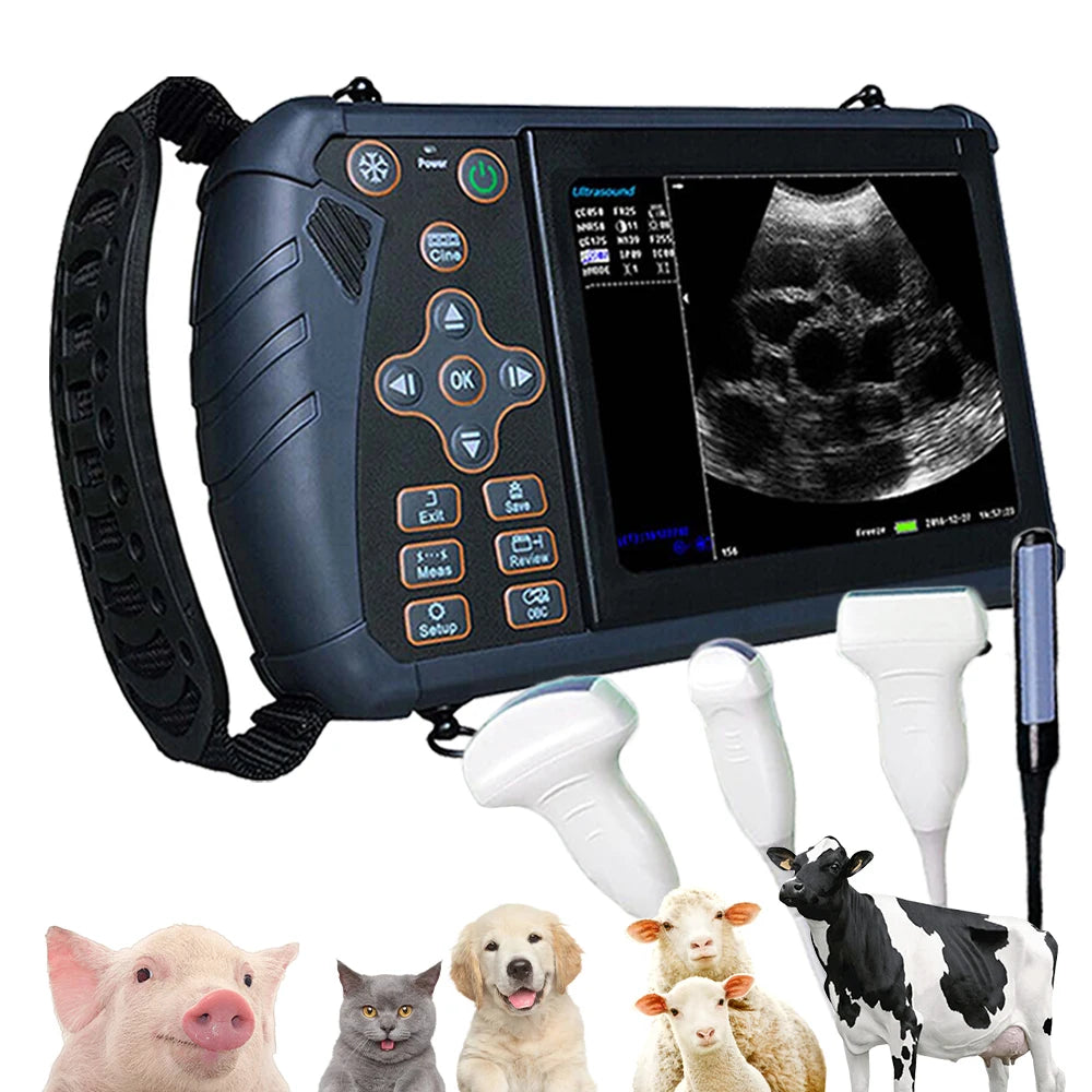 DAWEI Portable Veterinary Ultrasound Scanner for Farm Animals Pregnancy Testing