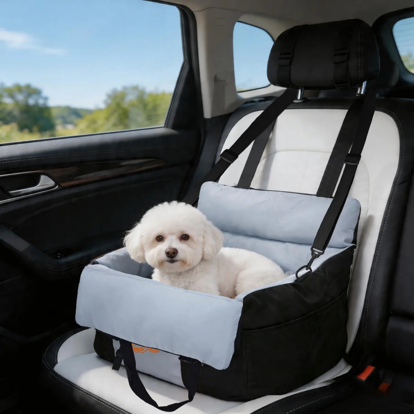 BINGOPAW Washable Dog Car Seat For Small Dogs Booster Carrier