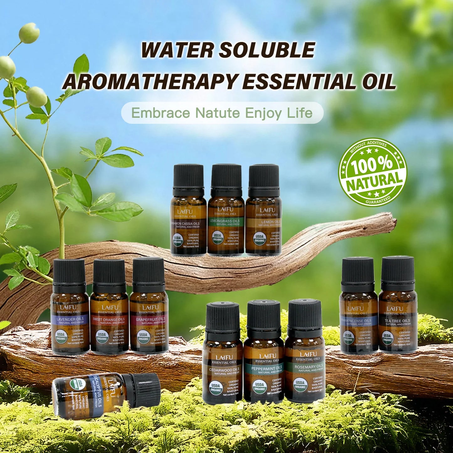 Aromatherapy Essential Oil Set Sweet Dreams Blends for Diffuser