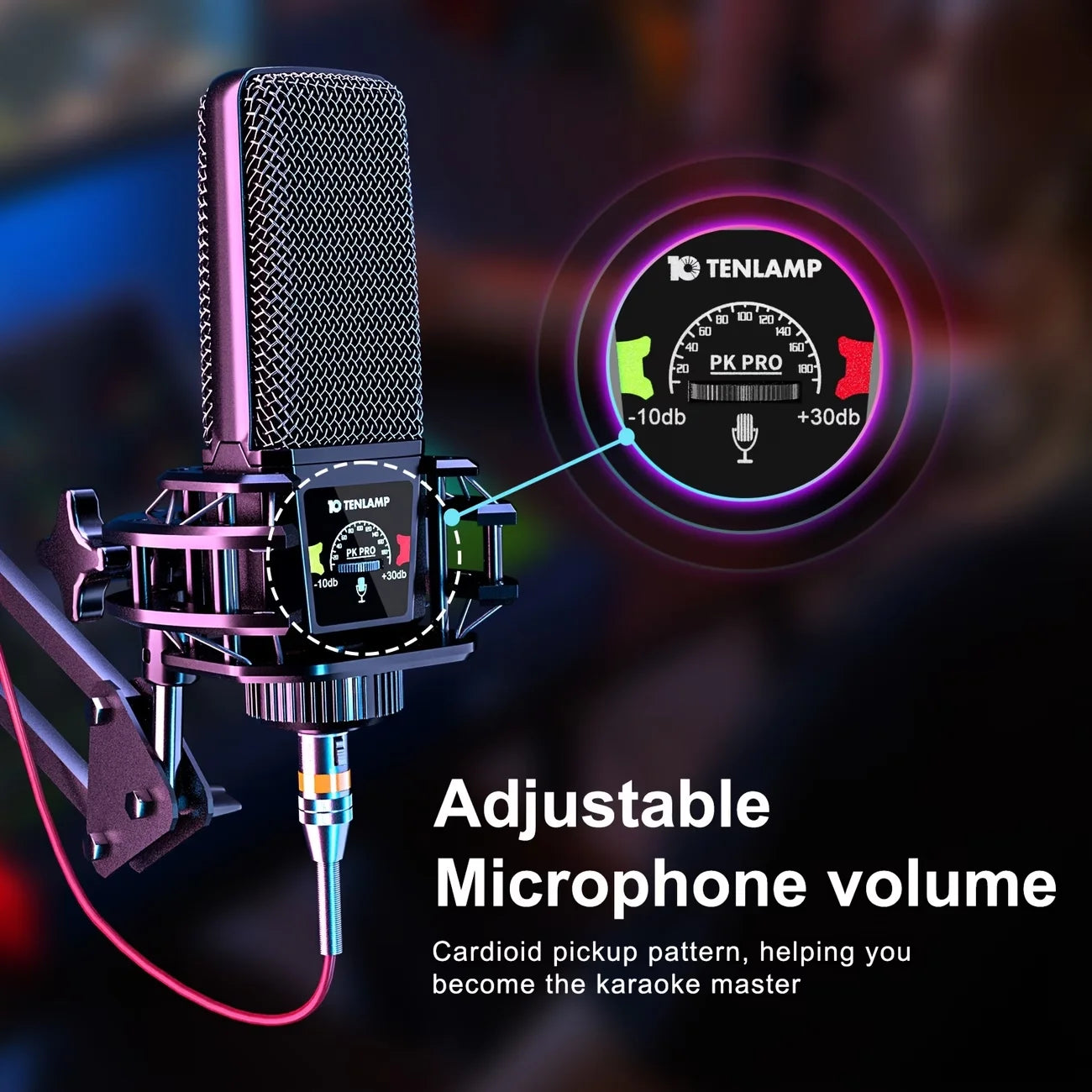 Tenlamp G10 USB Microphone Bundle With Voice Changer And Reverb