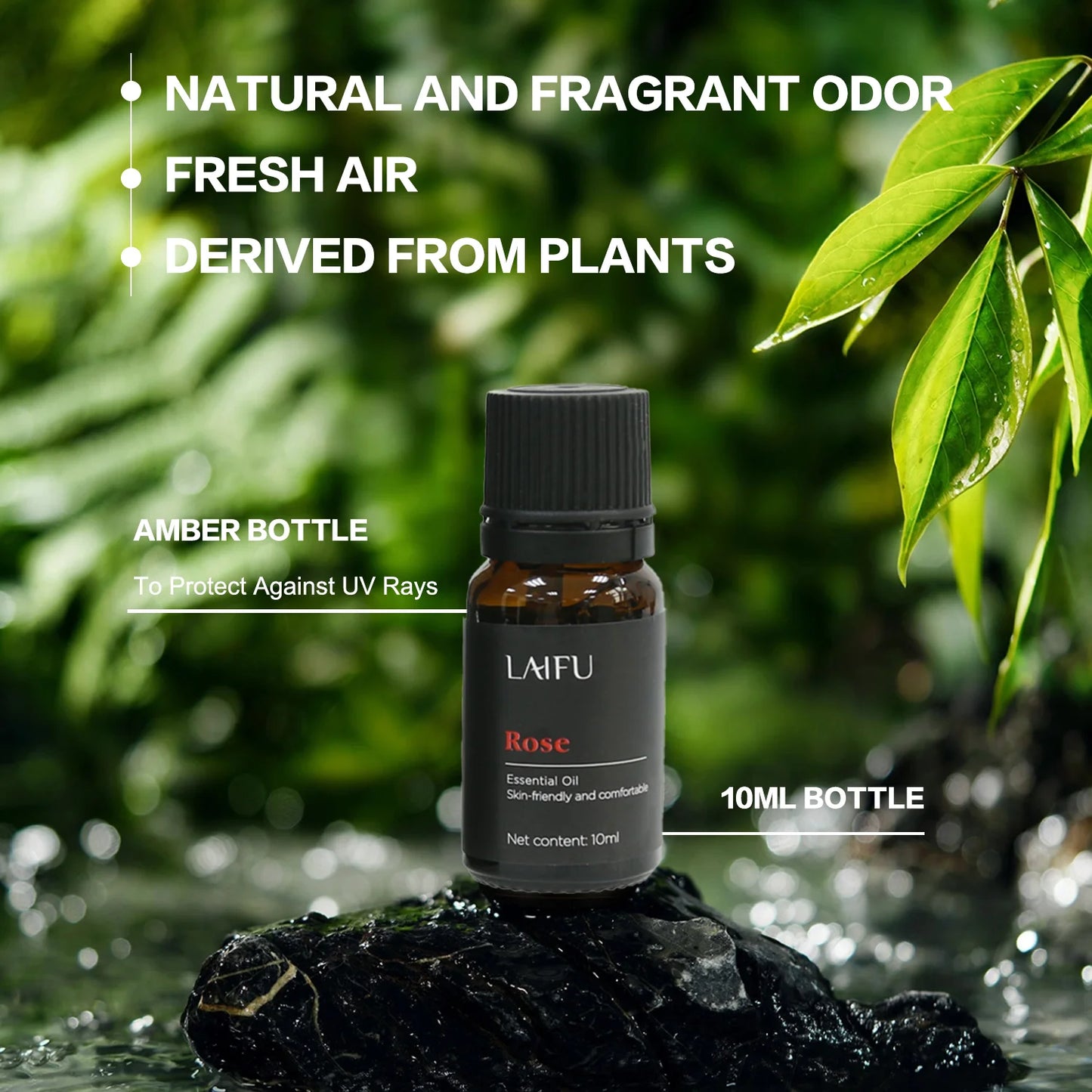 LISM OIMG Water Soluble Essential Oils Set Pack Of 20 For Aromatherapy Diffuser