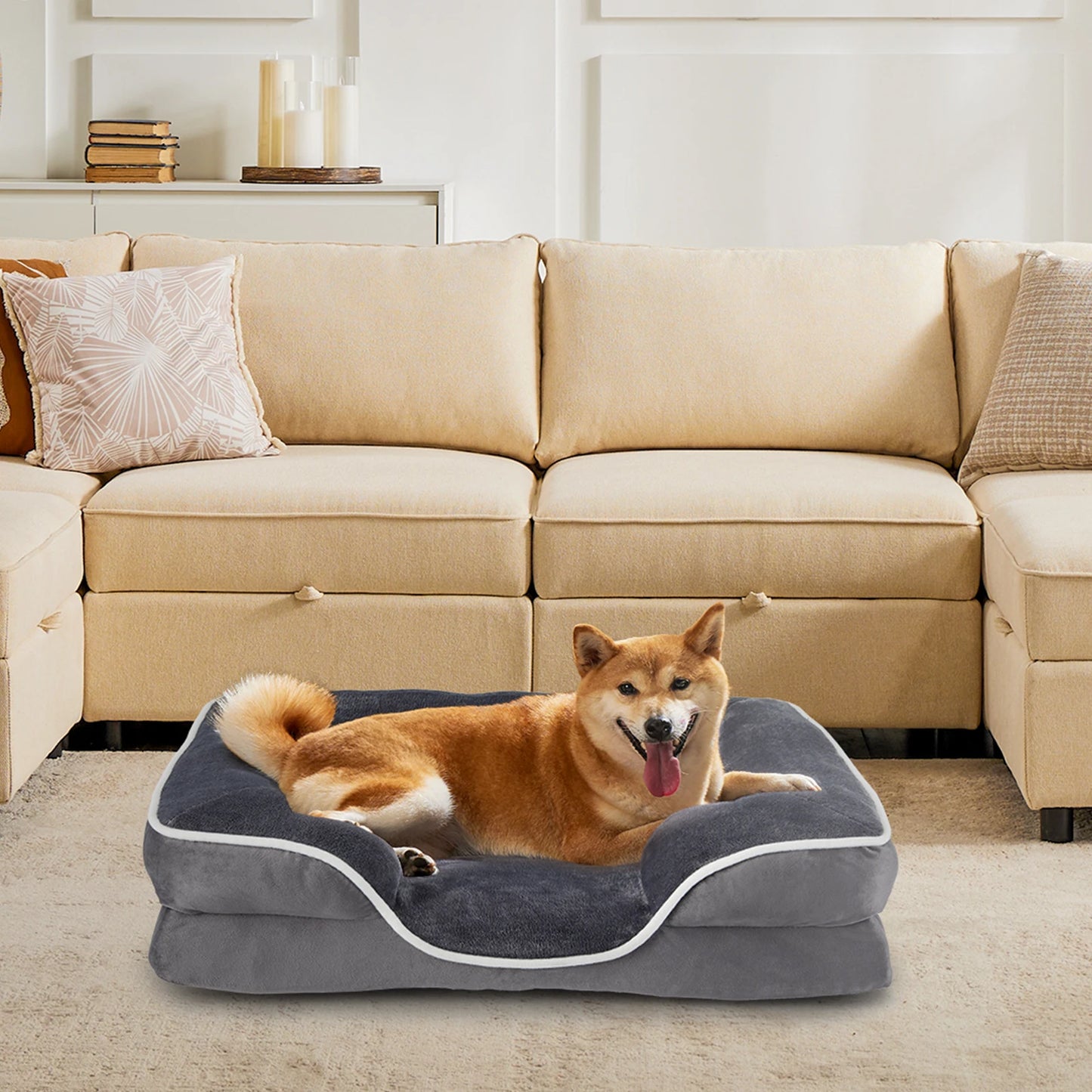 JHK Orthopedic Memory Foam Dog Bed For Small Dogs And Cats With Removable Cover