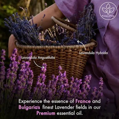 Lavender Essential Oil 100 Percent Pure Premium Grade For Diffuser Aromatherapy