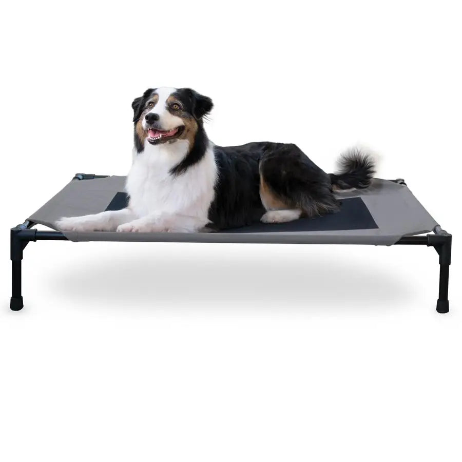 Outdoor Elevated Dog Cot With Cooling Breathable Mesh Cover For Large Dogs Raised Metal Frame Hammock