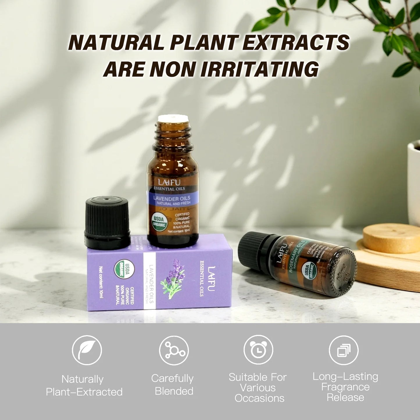 Aromatherapy Essential Oil Set Sweet Dreams Blends for Diffuser