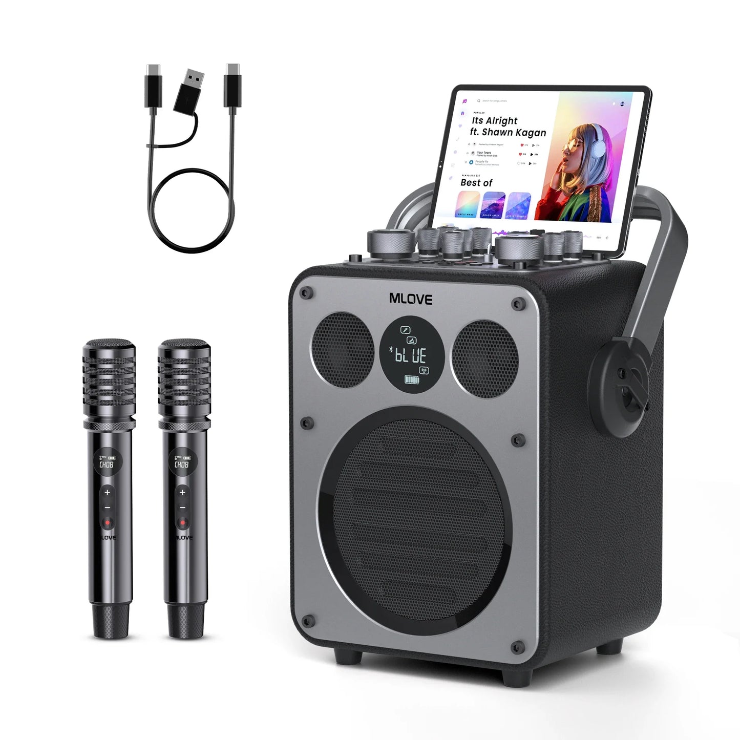 MLOVE D5 Karaoke Machine With Bluetooth And Two Wireless Microphones