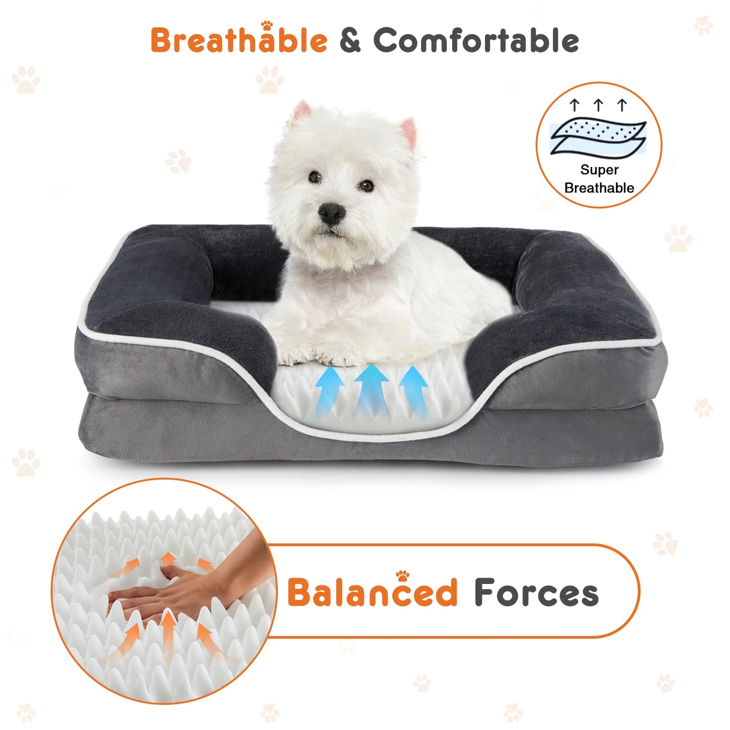 JHK Orthopedic Memory Foam Dog Bed For Small Dogs And Cats With Removable Cover