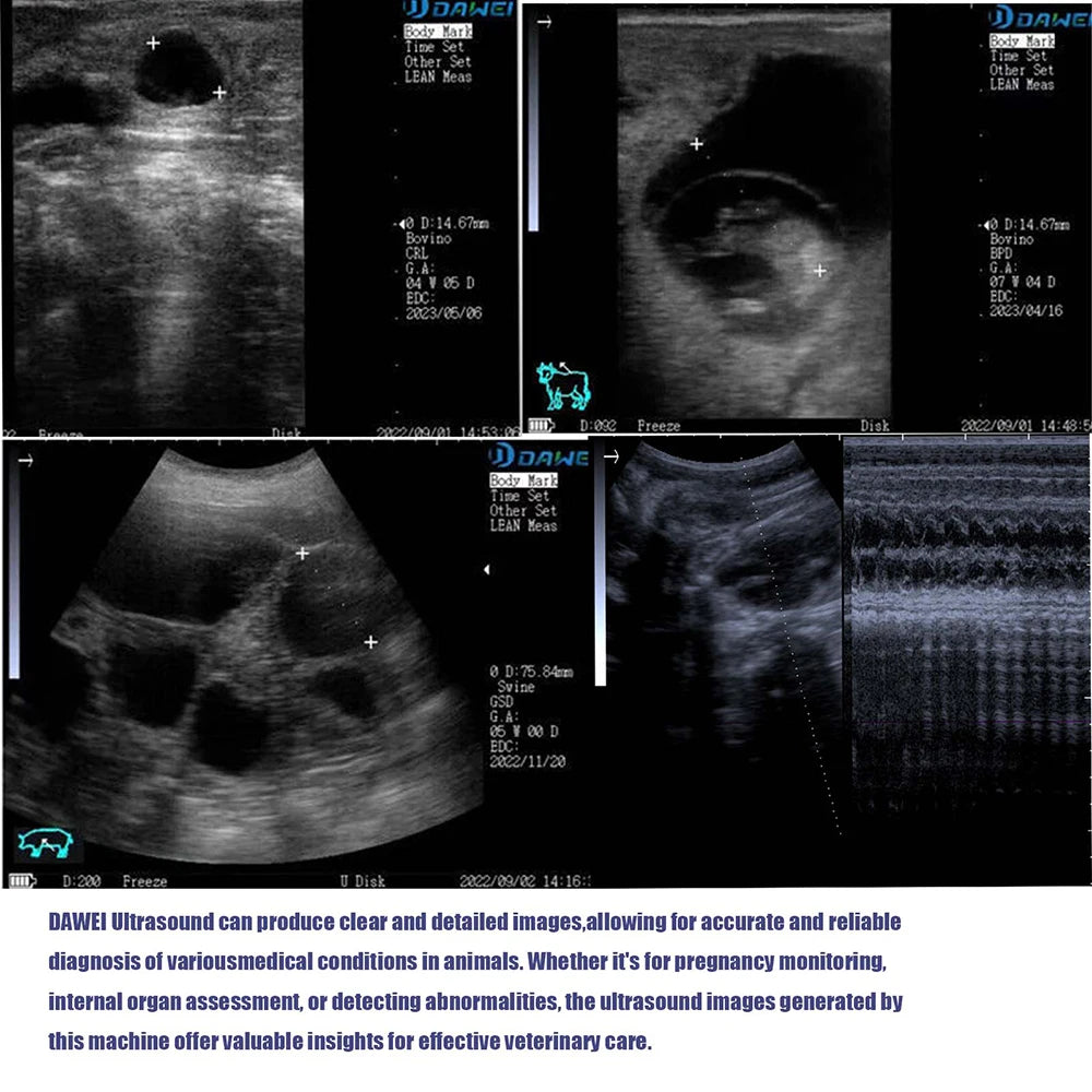 DAWEI Portable Veterinary Ultrasound Scanner for Farm Animals Pregnancy Testing