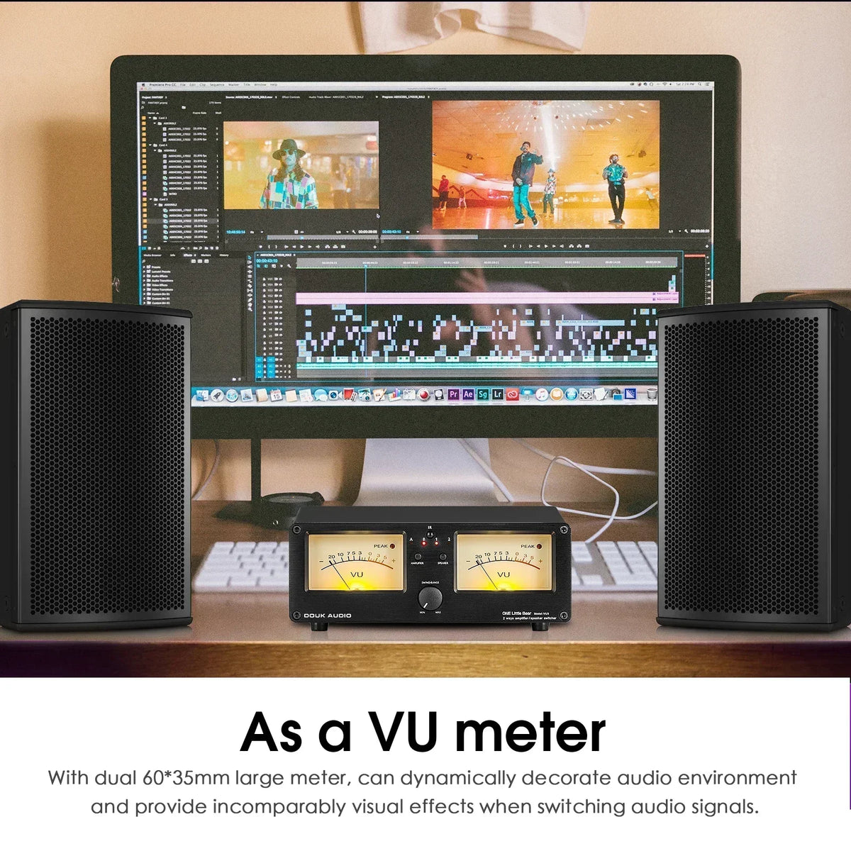 Nobsound Dual Analog VU Meter DB Panel Display 2-way Amplifier / Speaker Audio Switcher Box Selector Music Spectrum Visualizer