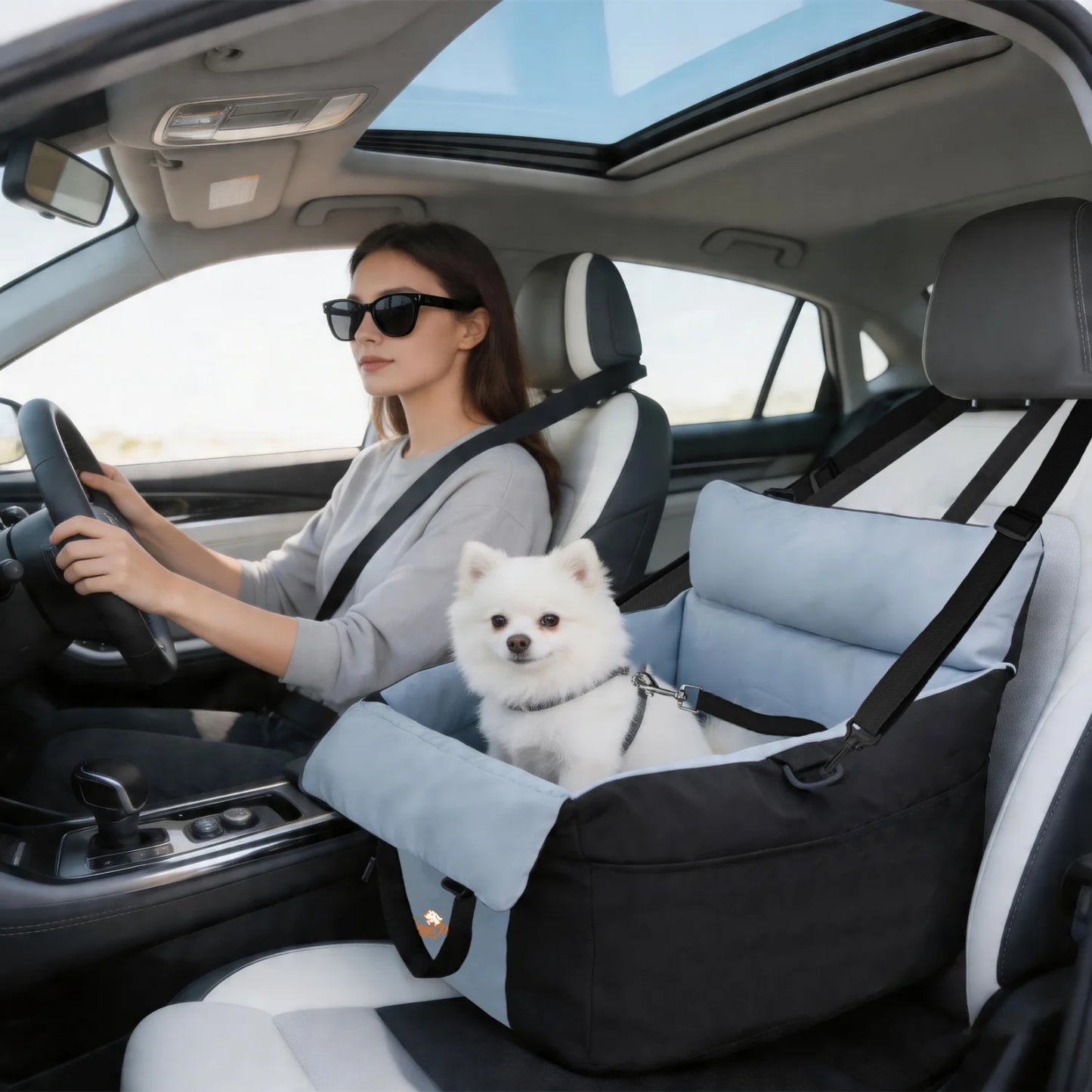 BINGOPAW Washable Dog Car Seat For Small Dogs Booster Carrier