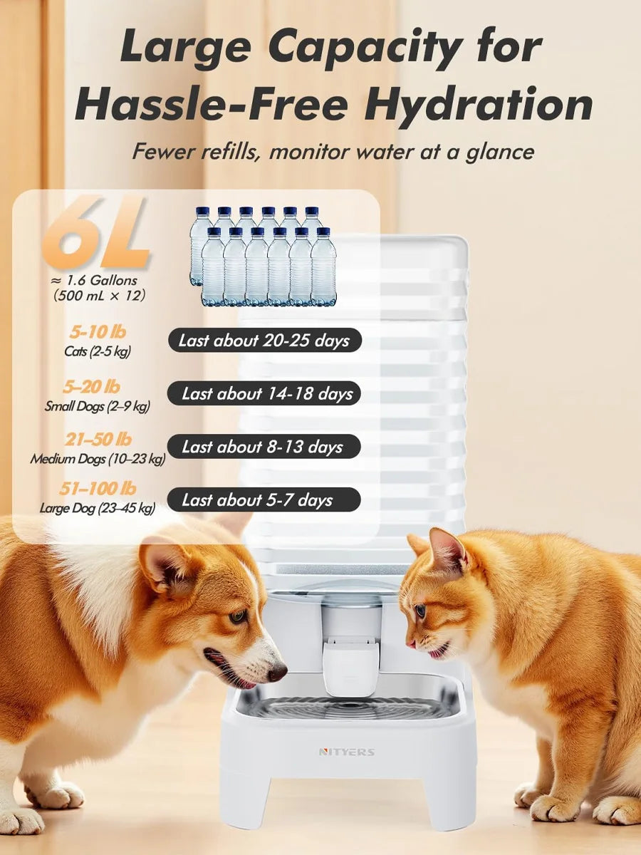 NITYERS 6L Gravity Pet Water Dispenser Large Capacity Automatic Dog Water Bowl Raised Elevated Pet Water Fountain No Electricity Stainless Steel Tray for Cats Dogs
