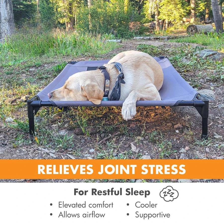 Outdoor Elevated Dog Cot With Cooling Breathable Mesh Cover For Large Dogs Raised Metal Frame Hammock