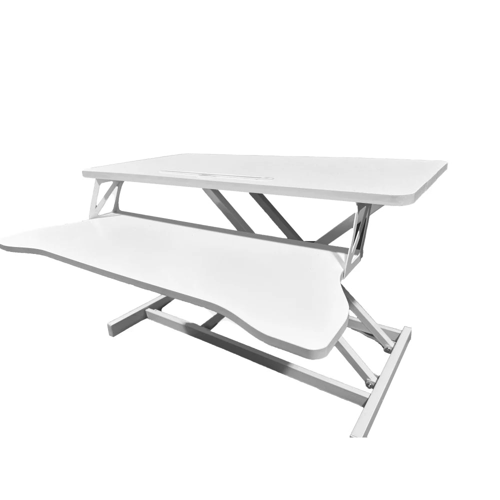 LISM Height Adjustable Desk Converter Sit Stand Dual Monitor Workspace